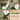 Blonde Redhead - Fake Can Be Just As Good (Vinyl LP)