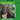 Vince Guraldi and Bola Sete - From All Sides (Vinyl LP)