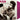 Bob Dylan - House Of The Risin' Sun [180G Transparent Violet Vinyl LP]