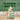 MEGAN MORONEY - LUCKY  (TRANSLUCENT GREEN VINYL 2LP)