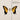 Paramore - Brand New Eyes (Vinyl LP)
