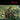 Live - Throwing Copper (Vinyl 2LP)